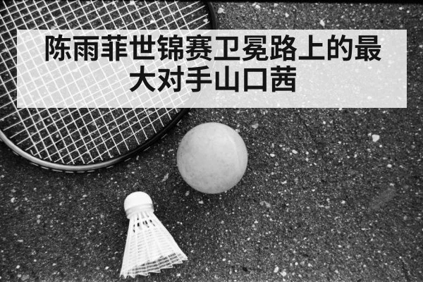 陈雨菲世锦赛卫冕路上的最大对手山口茜