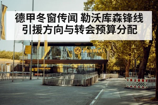 德甲冬窗传闻 勒沃库森锋线引援方向与转会预算分配